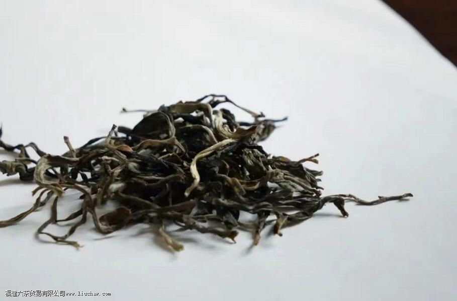 ��������ɽ�뱳��ɽ������