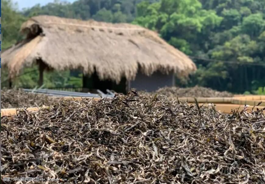 ��������ɽ�뱳��ɽ������