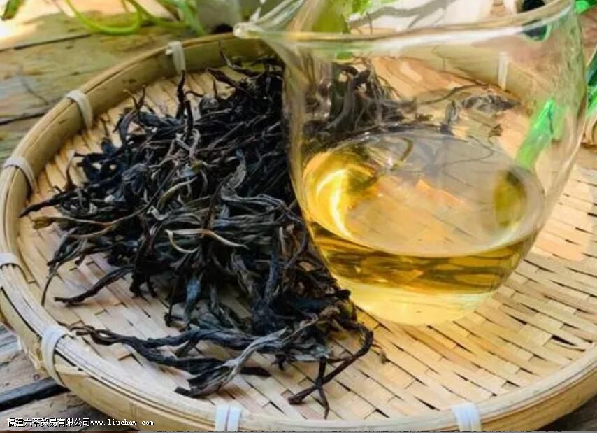 忙肺山古树茶有什么特点 忙肺山古树茶有什么特点