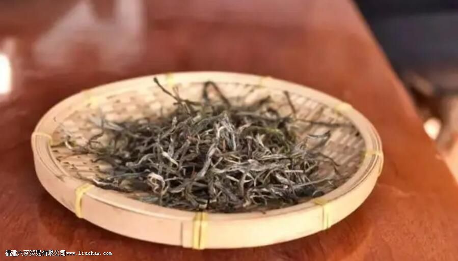 莽枝古树茶特点 莽枝古树茶特点