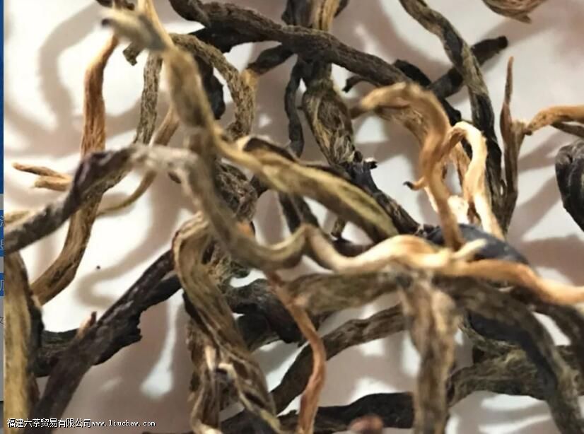 莽枝古树茶特点 莽枝古树茶特点