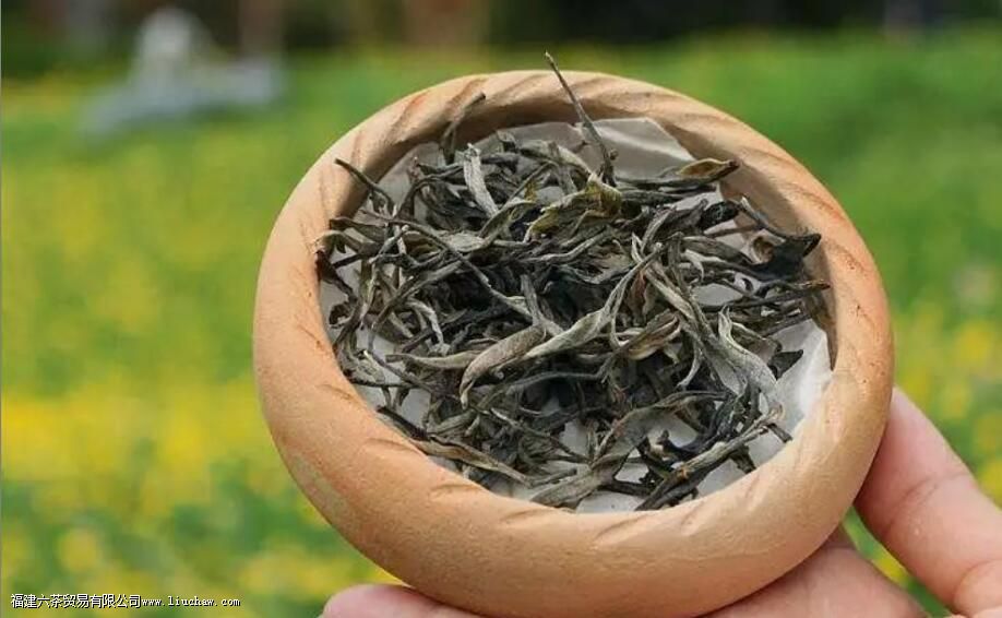 莽枝普洱茶的特点 莽枝普洱茶的特点