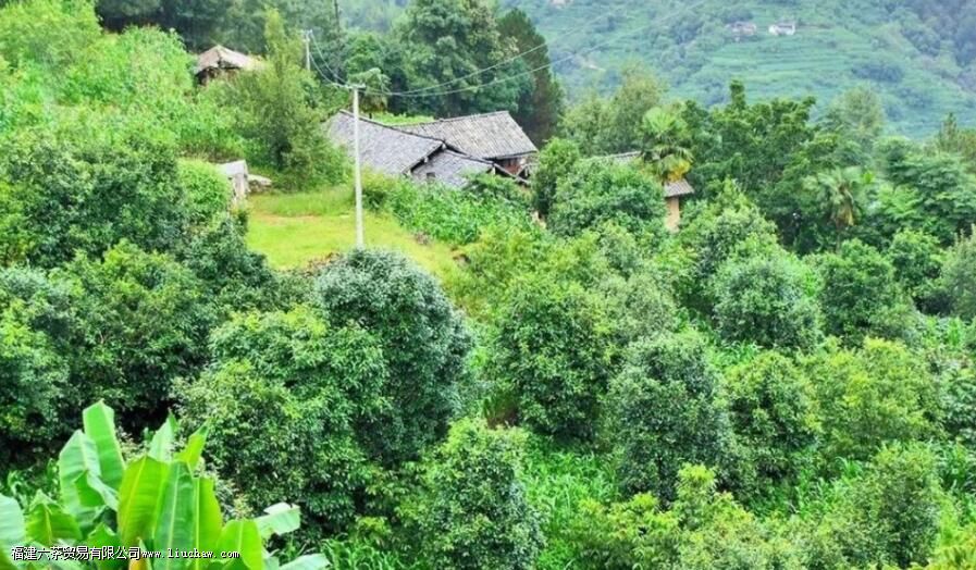 ��ˮ������Ŀڸ��ص�