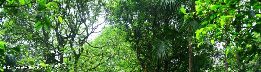 ��ˮ������Ŀڸ��ص�