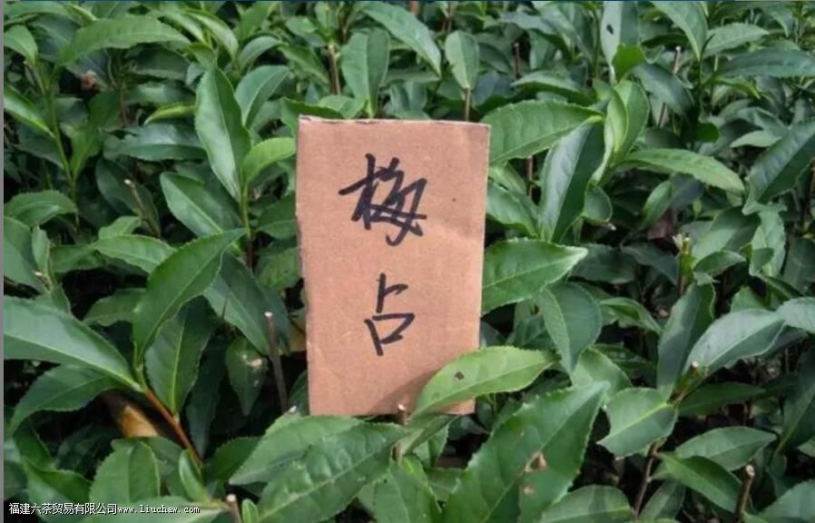 ÷ռ����ζ�����ص�