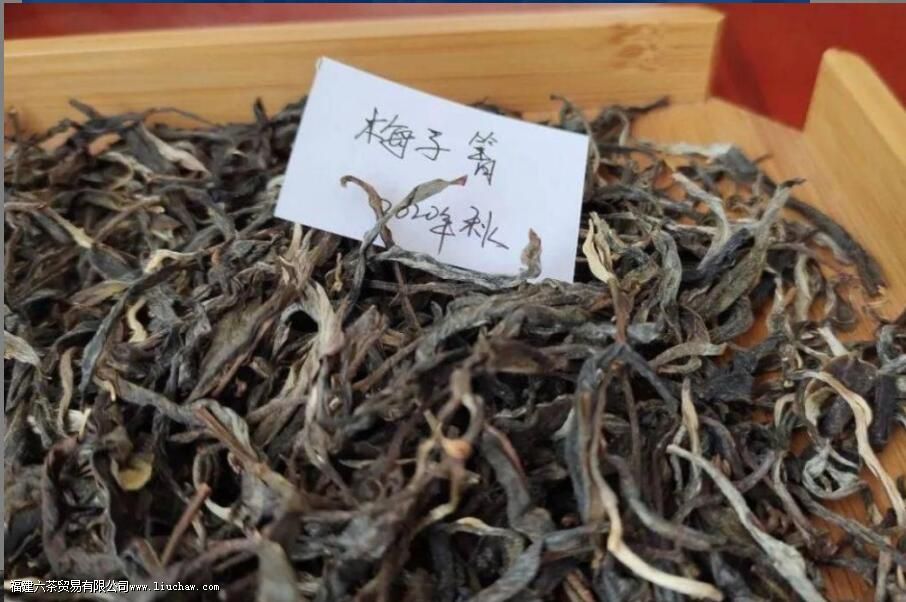 ÷����������ص�