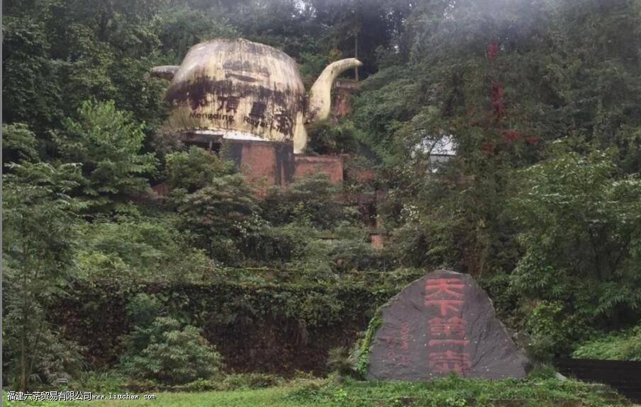 �ɶ���ѿ�;�ɽ���������