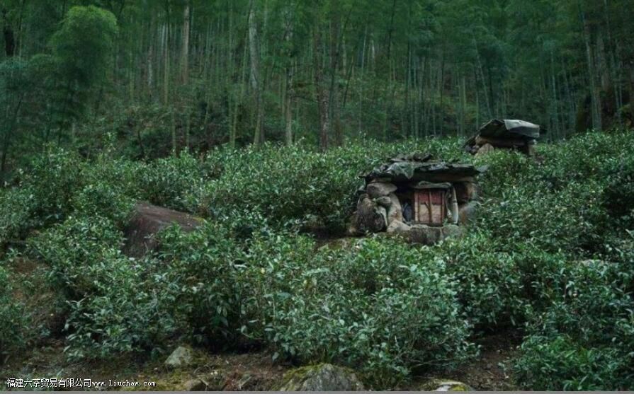 �ɶ���ѿ�;�ɽ���������