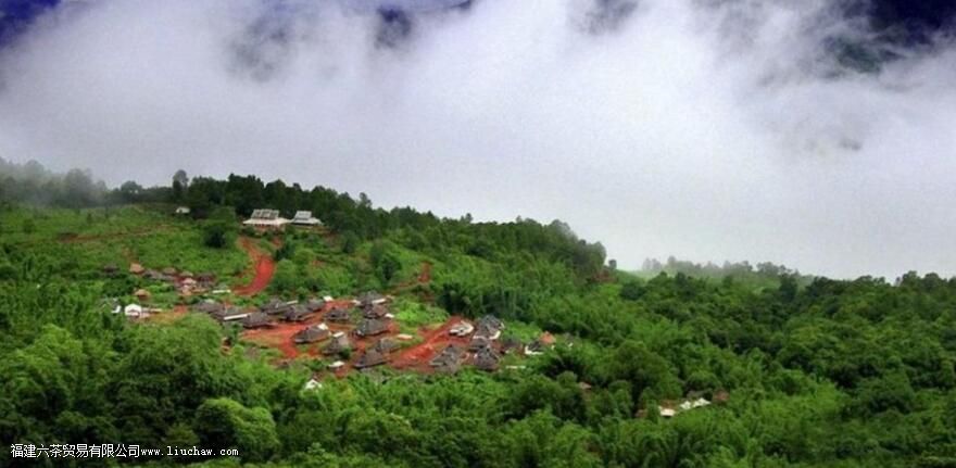 �º���������Щɽͷ