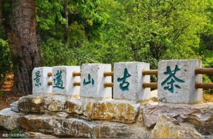 �º���������Щɽͷ