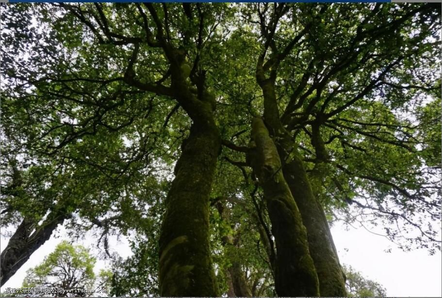 �¿��������ص�