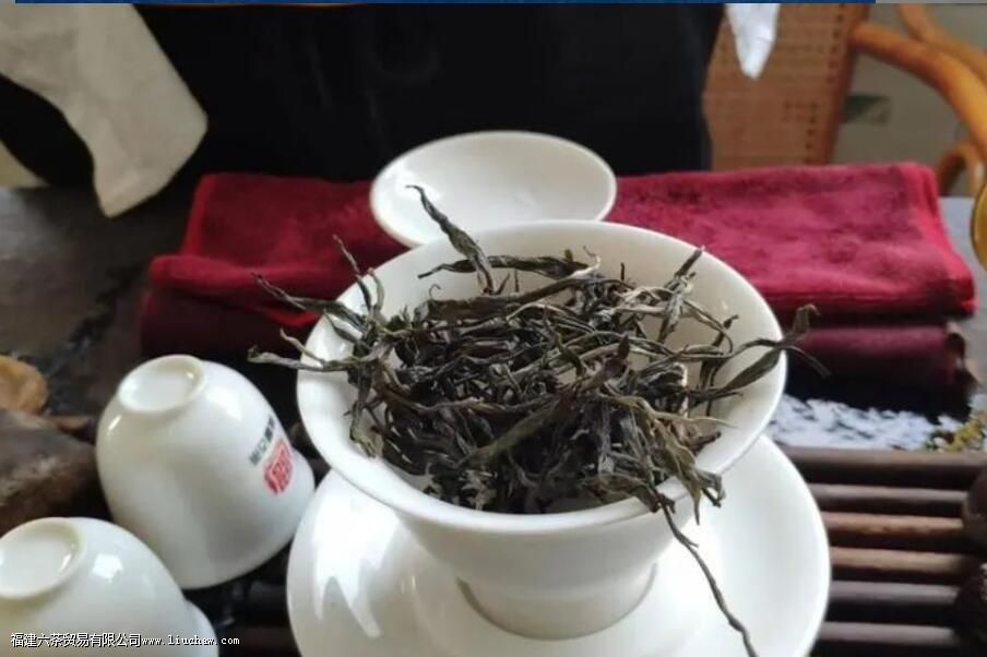 迷帝古树茶属于哪个茶区 迷帝古树茶属于哪个茶区
