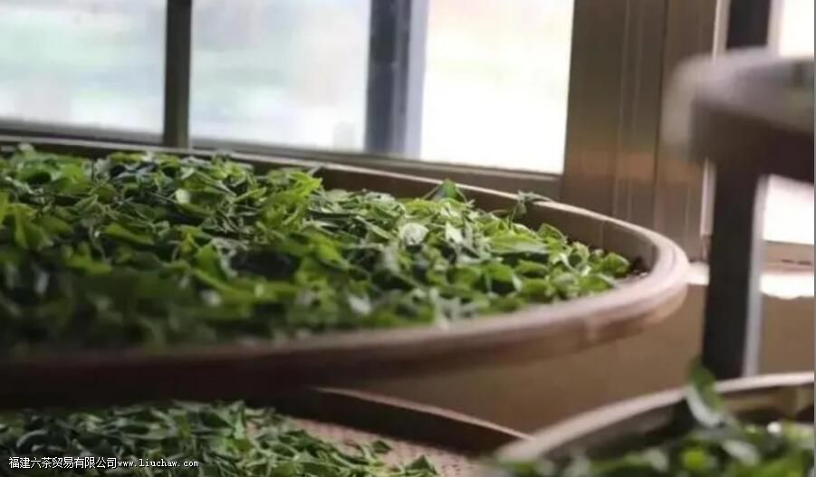 蜜兰香和鸭屎香的区别 蜜兰香和鸭屎香的区别