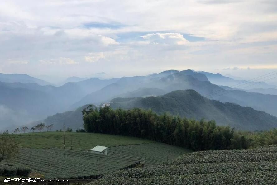 ��������ʲô��