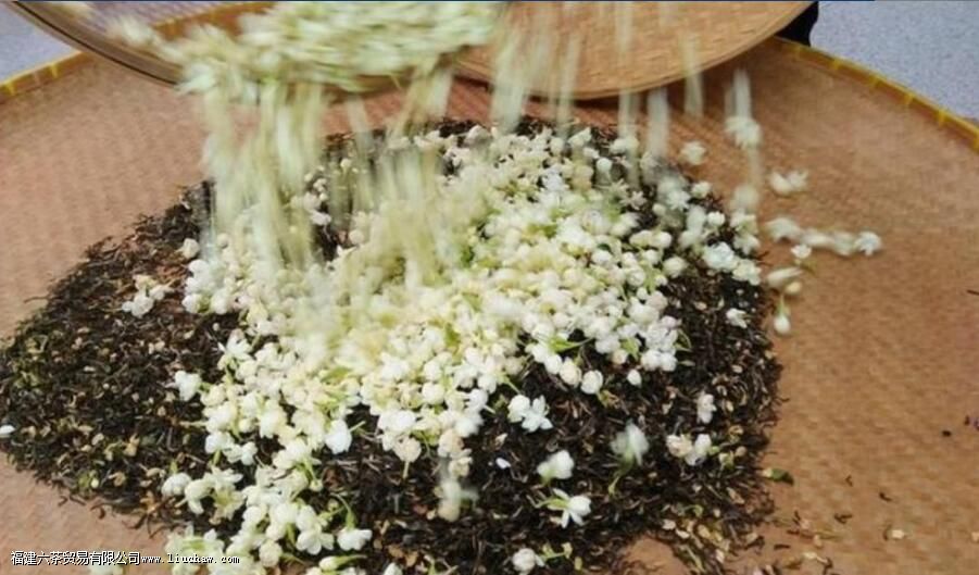 茉莉茶会放香吗 茉莉茶会放香吗