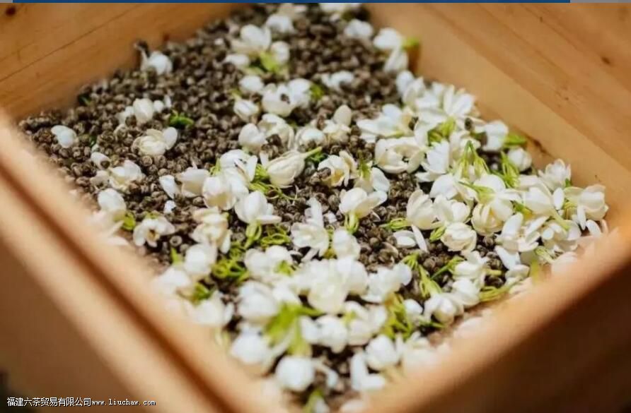 茉莉花茶产地 茉莉花茶产地