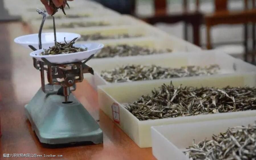 茉莉花茶产地 茉莉花茶产地