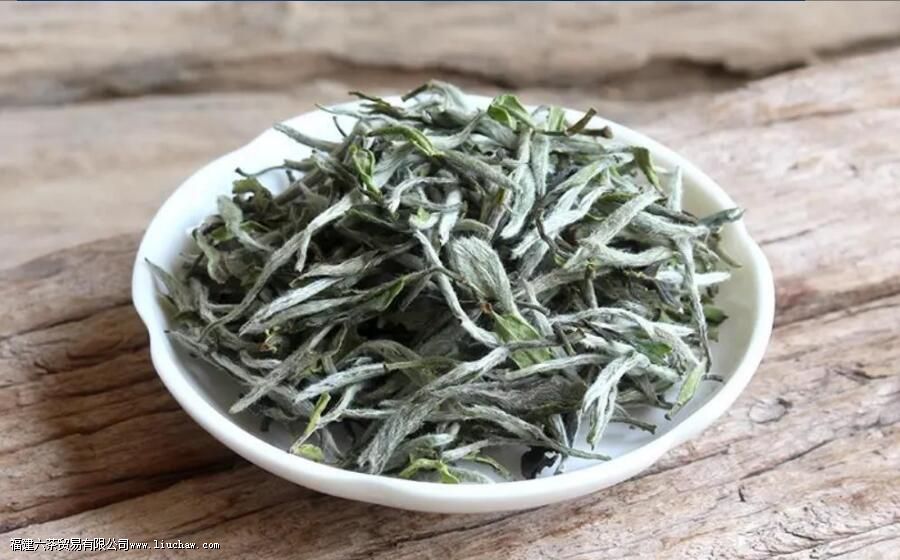 牡丹王白茶特点 牡丹王白茶特点