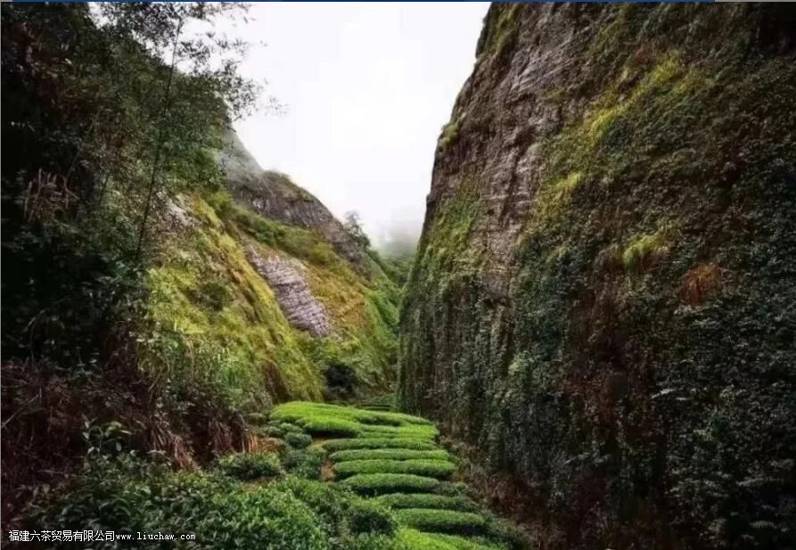 ���ֲ�������Ҳ�֮�ף��С�����֮����������