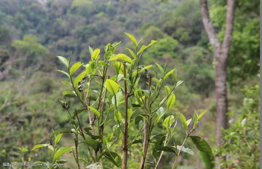 �ǽ���������ص�