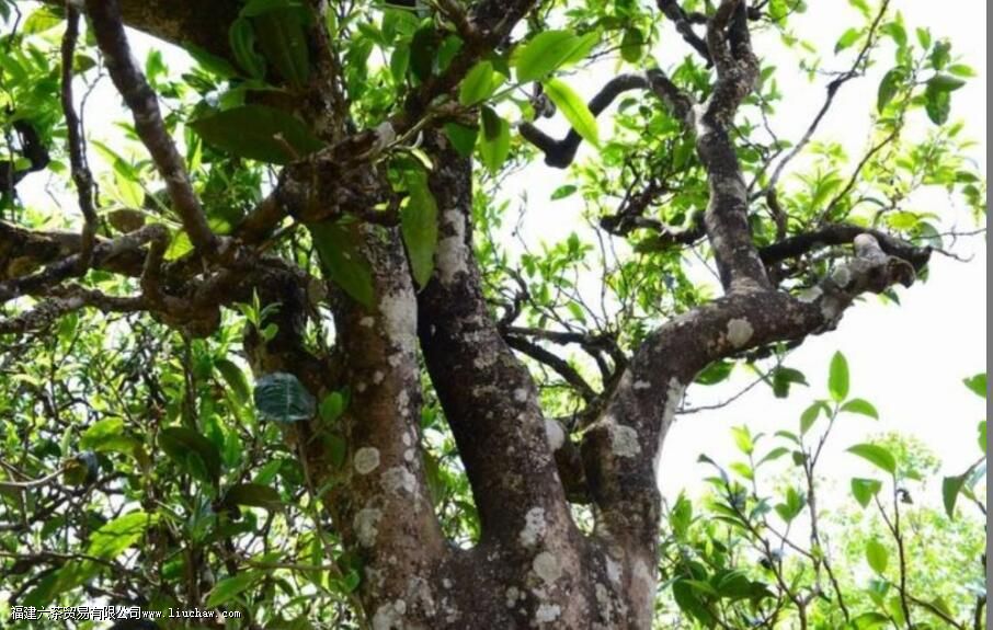 �ǽ���������ص�