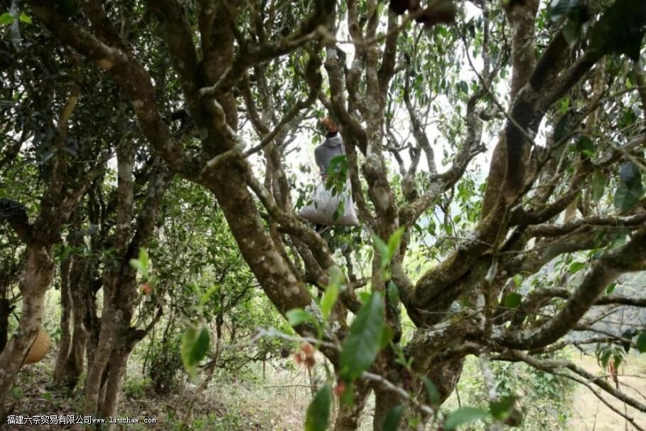 �ϰ���̬�ն�������Щ�ص�