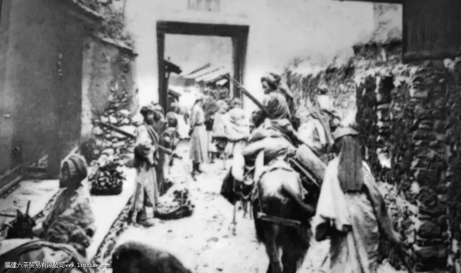 南路边茶和西路边茶的区别 南路边茶和西路边茶的区别