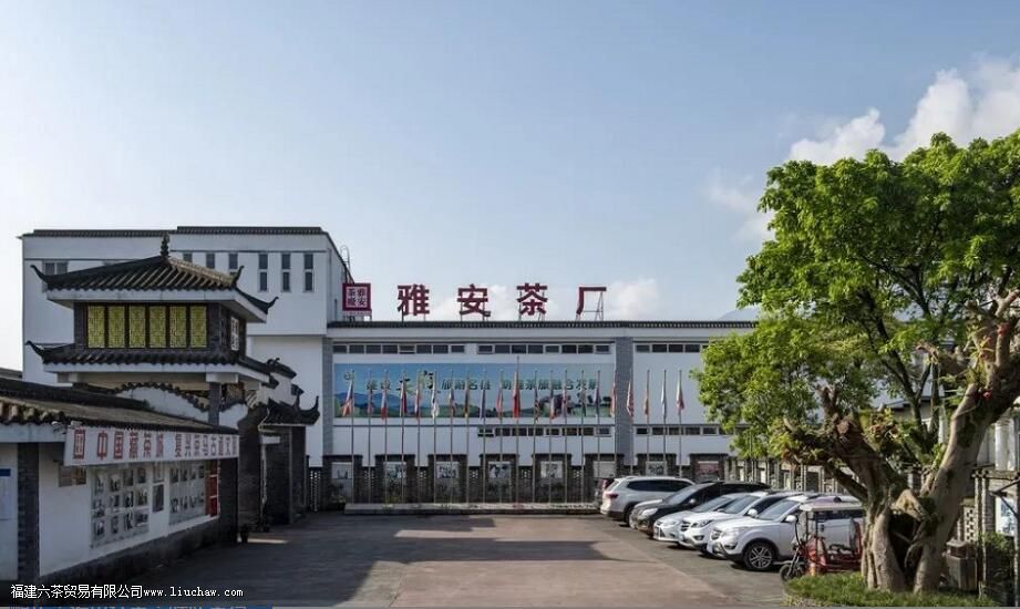 南路边茶和西路边茶的区别 南路边茶和西路边茶的区别