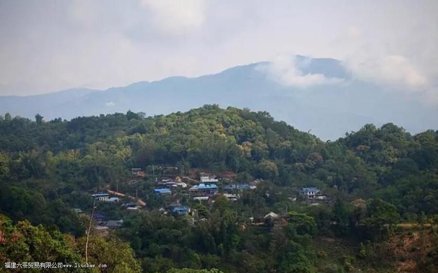 ��Ŵɽ����Щ�ն���կ��