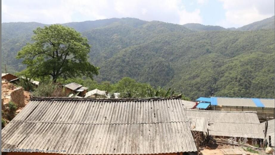 �����ն�����ص�