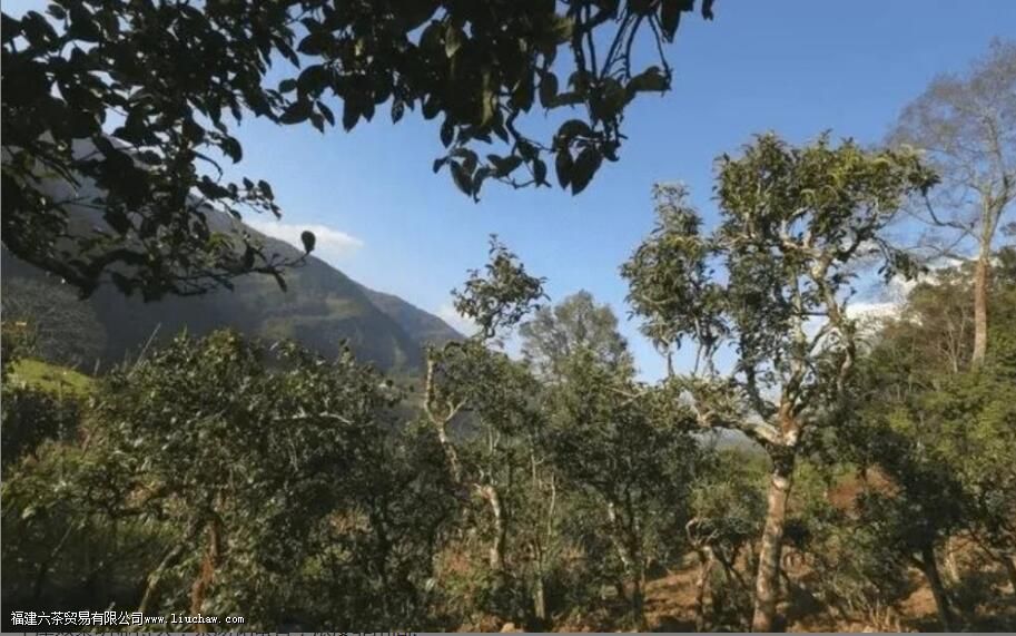 �����ն�����ص�