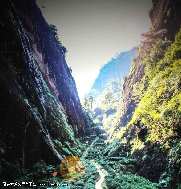 ţ����������ʲô�ص�