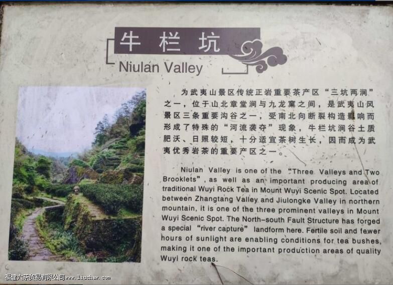 ţ����������ʲô�ص�