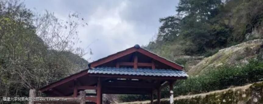 ţ����������ʲô�ص�