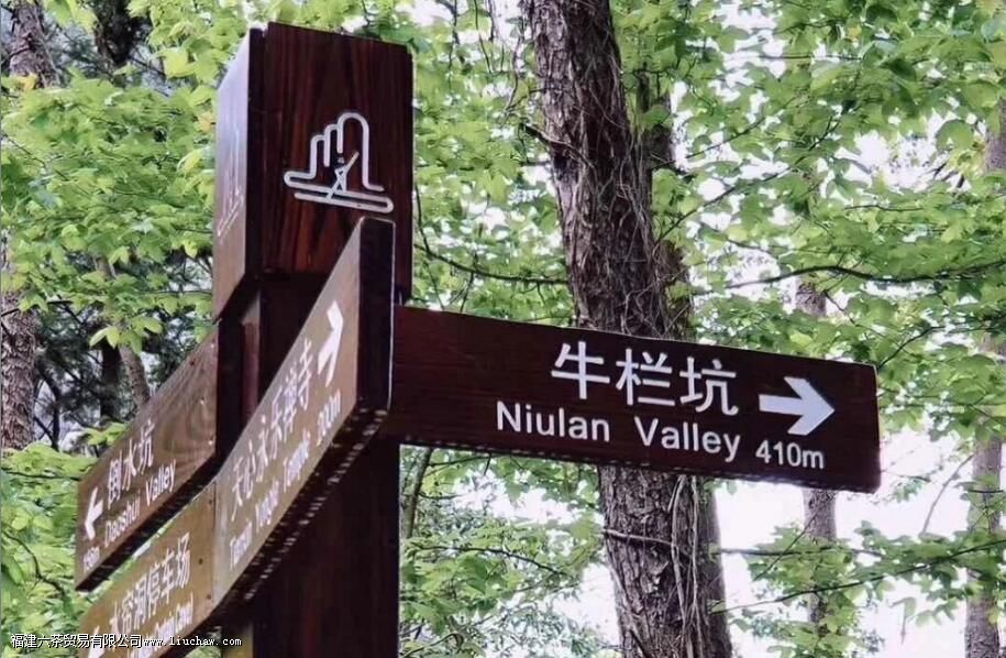 ţ����Ϊʲô��ţ����