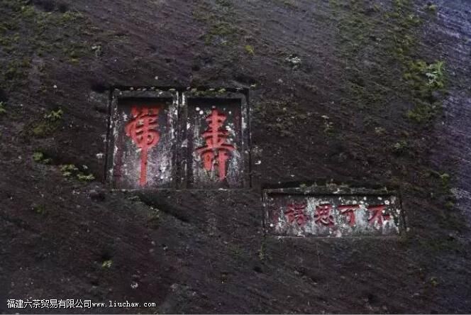 ţ����Ϊʲô��ţ����