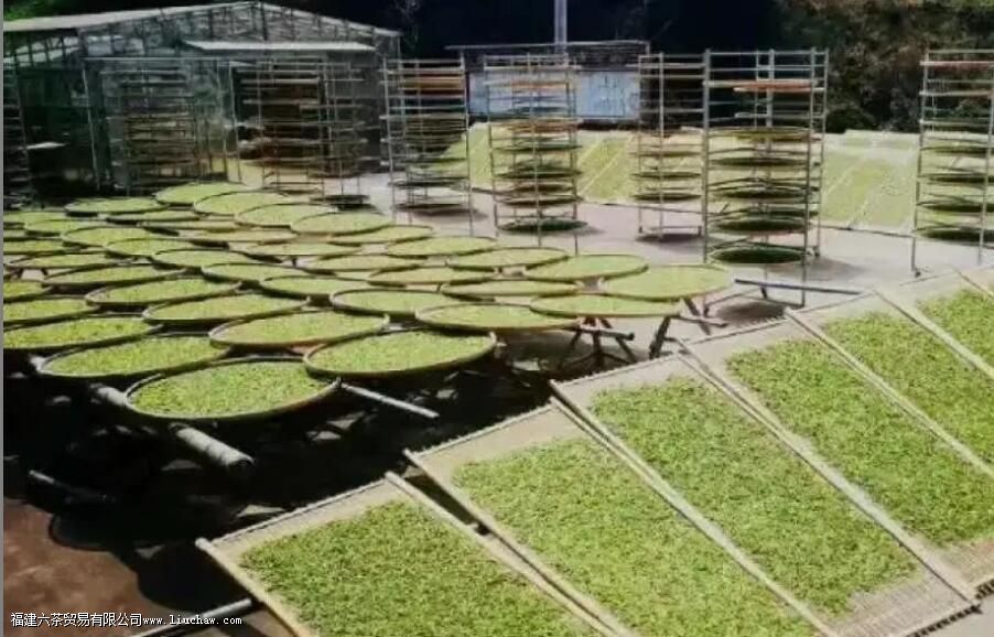 泡茶为什么会苦涩 泡茶为什么会苦涩