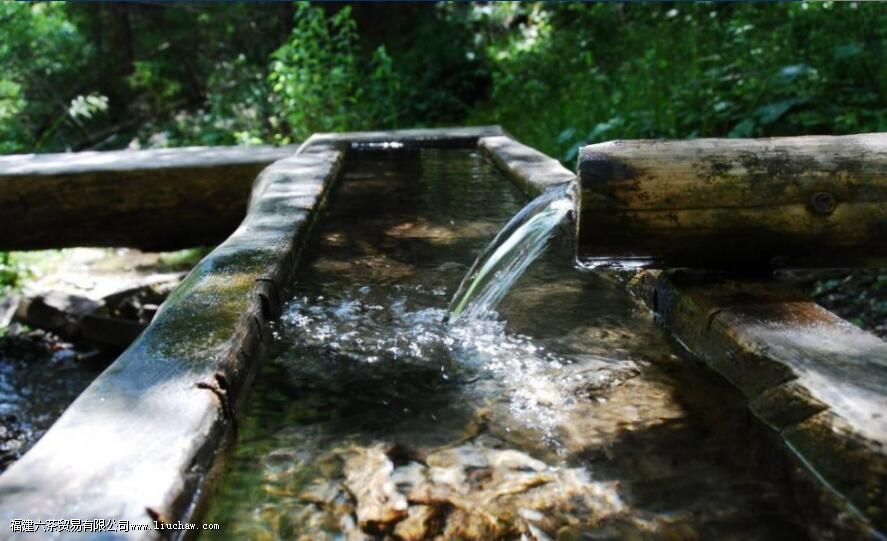 �ݲ��ô���ˮ���ǿ�Ȫˮ�ã��ܶ��˶�����