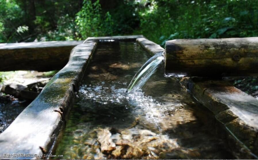 �ݲ��ô���ˮ�ã����ǿ�Ȫˮ��