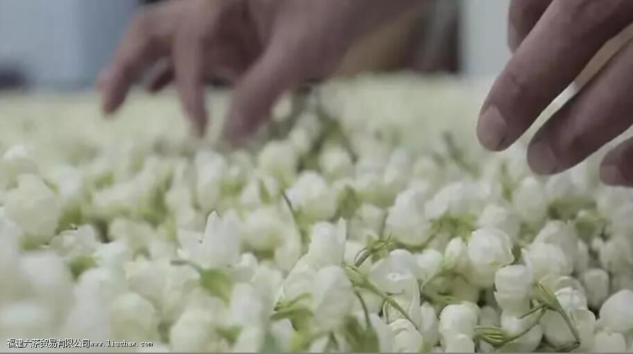 Ʈѩ������ʲô��