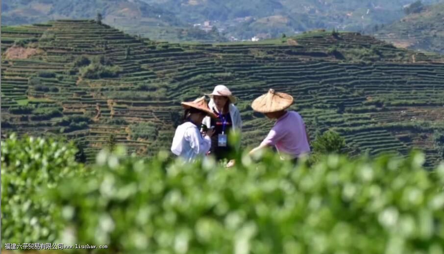 Ʒζ������������û�������