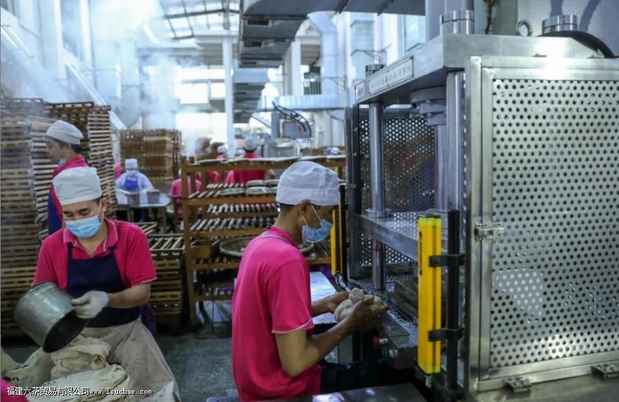 �ն�����ı���Ϊʲô�и������ѡ�