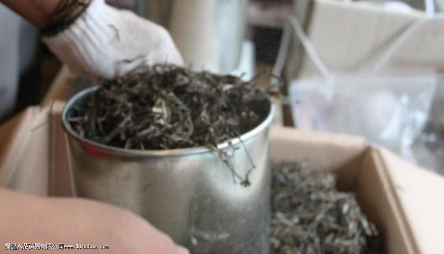 �ն�����ı���Ϊʲô�и������ѡ�