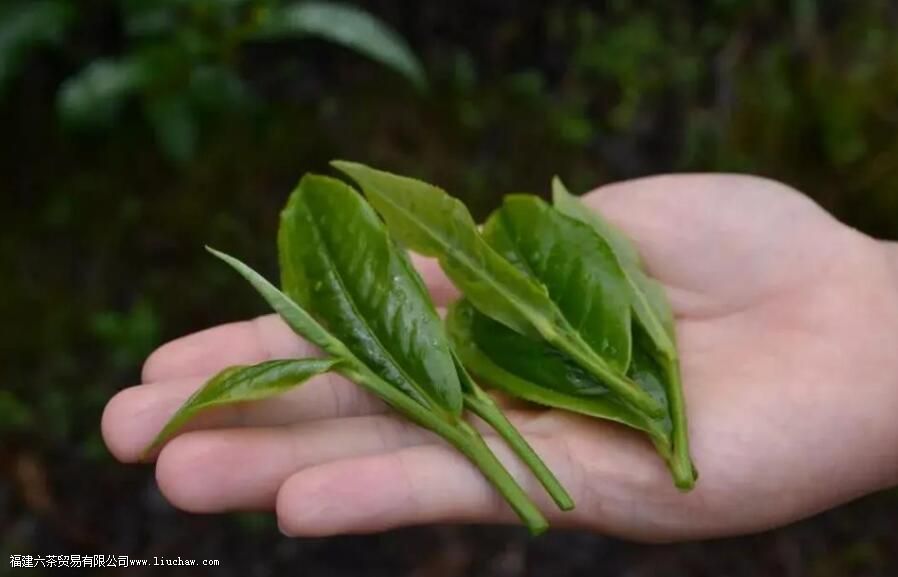 �ն��贺�����Ĳ���������ͶԱ�