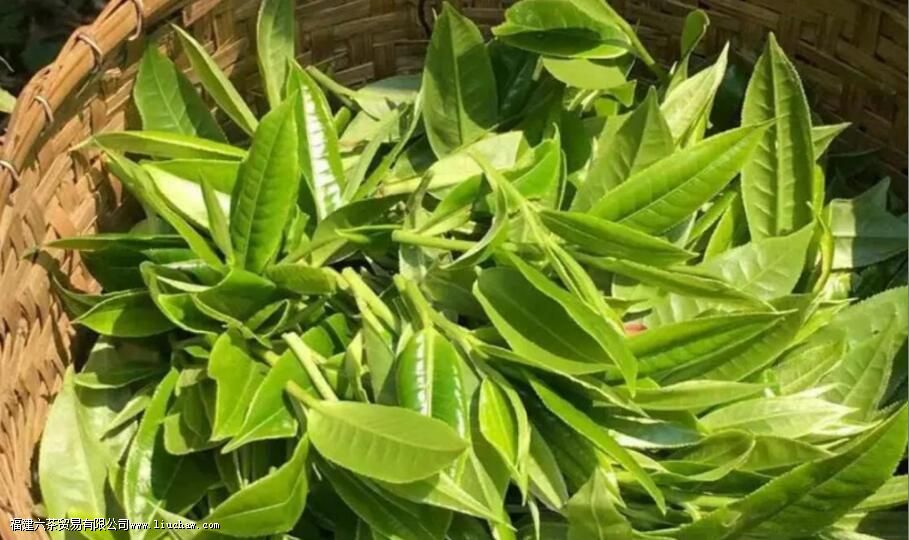 �ն��贺�����Ĳ���������ͶԱ�