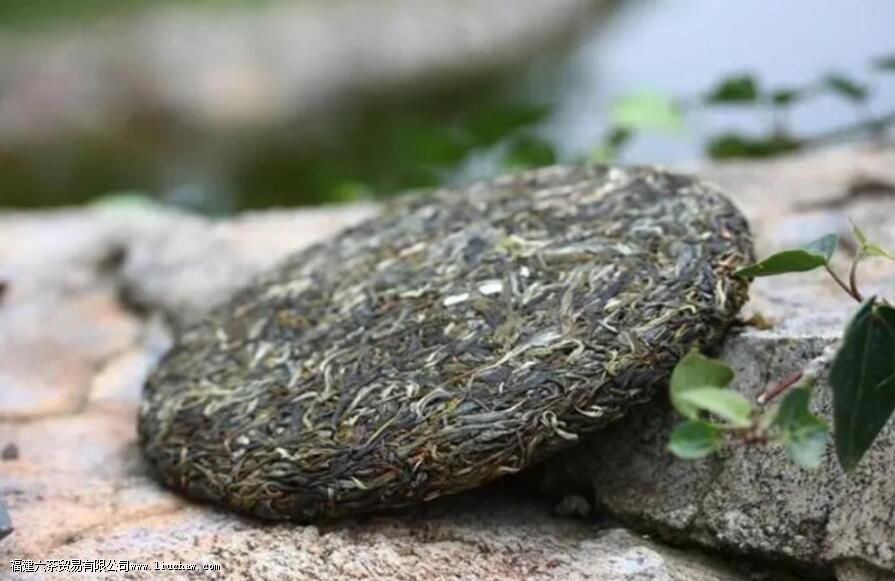 �ն����Ǻ����