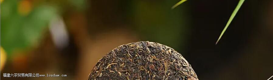 普洱茶适合什么季节喝 普洱茶适合什么季节喝