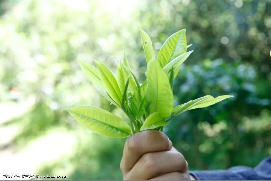 �ն���Ϊʲô���п�衢��� ���ߵı�������Щ