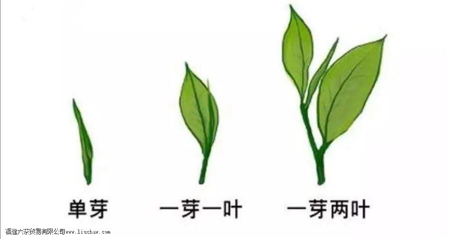 �ն���ԭ�ϵĵȼ����ص�