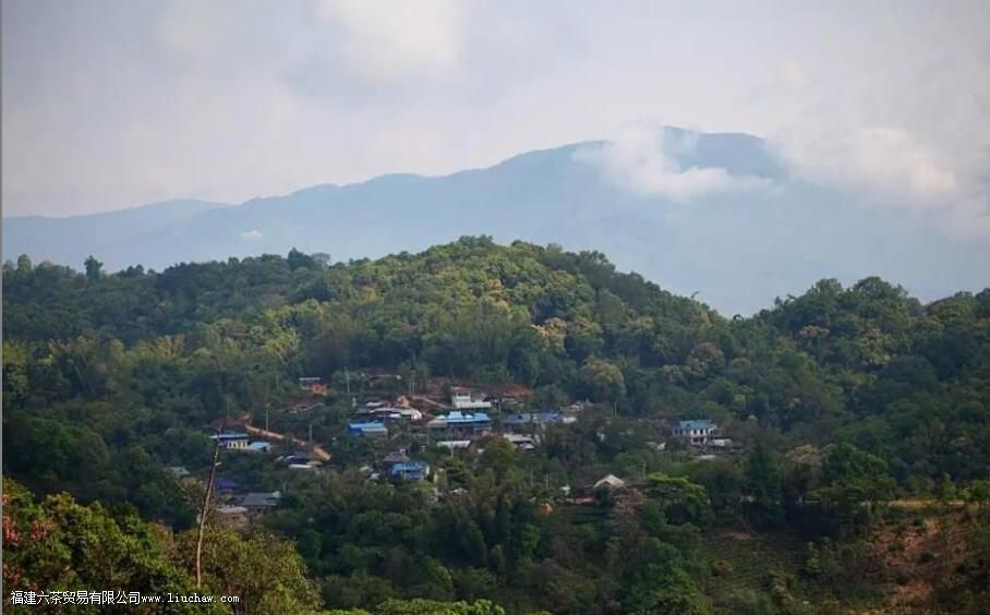 普洱古茶园第一村是哪个 普洱古茶园第一村是哪个